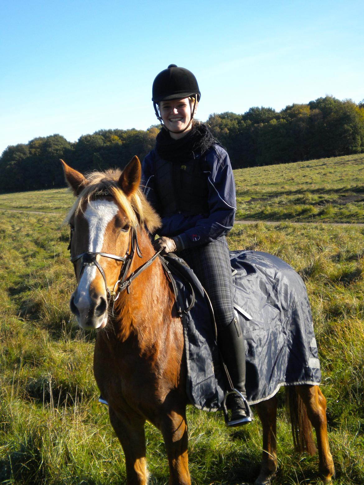 Tysk Sportspony Kim - Altid glad i selskab med den fantastiske pony. Dyrehaven. Efterår 11. Foto: Olivia billede 19