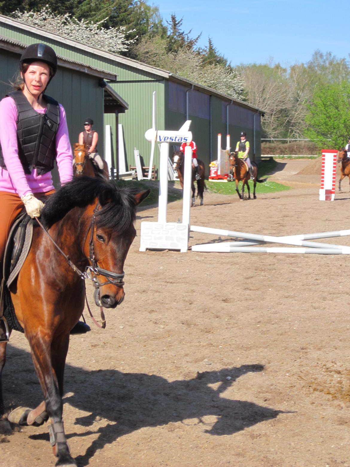 Anden særlig race Felix billede 12