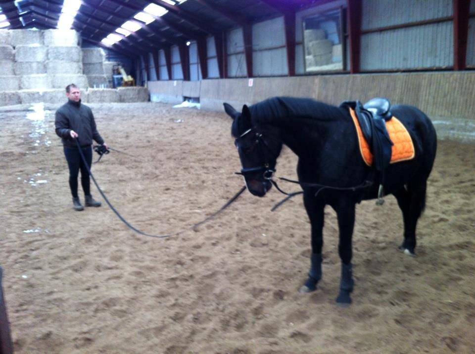 Oldenborg Anastasia billede 10