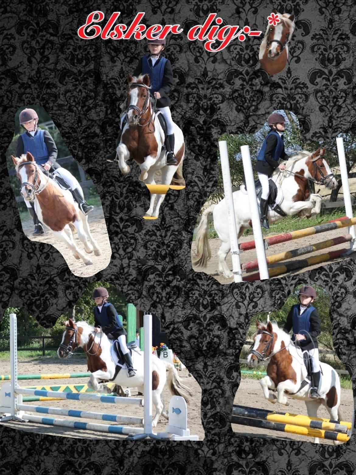Anden særlig race Cirkeline - 14. Cirkeline<33 billede 14