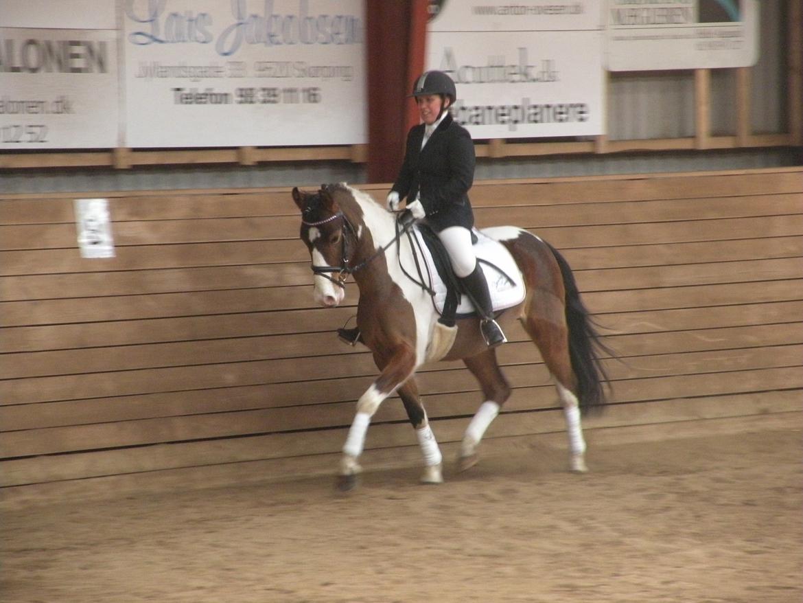 Anden særlig race Felix billede 20