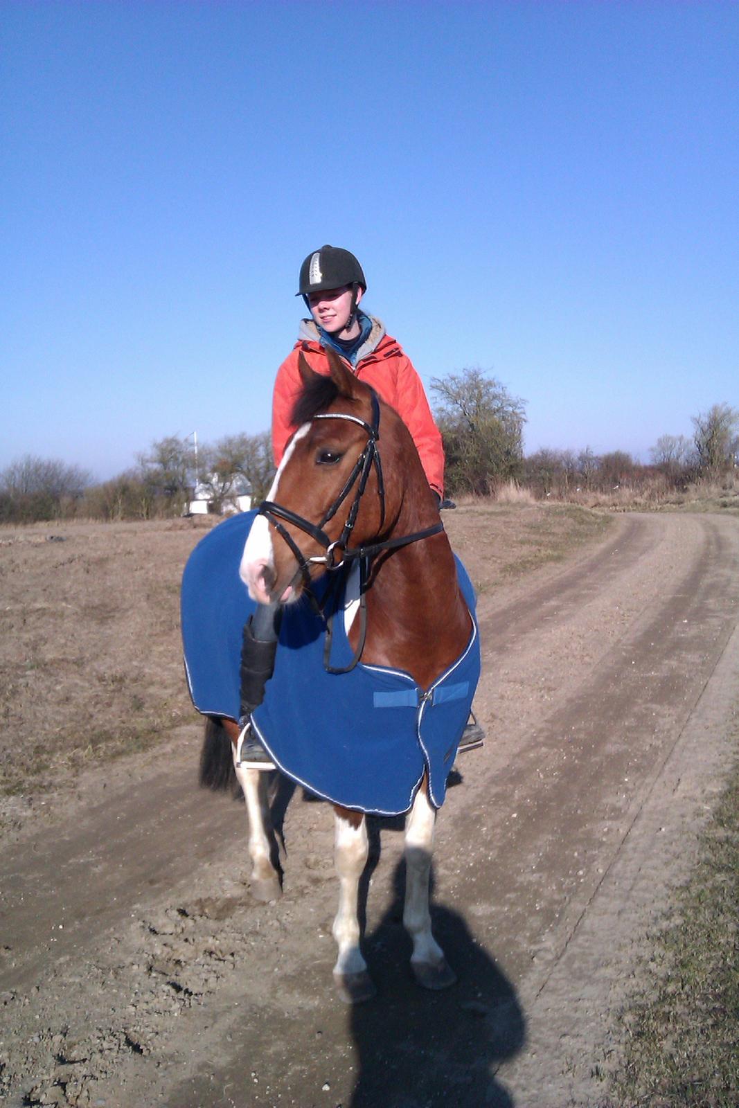 Anden særlig race DIXI [B-PONY] - velkommen til Dixis profil. På første tur alene foto:mor billede 18