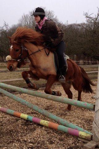 Islænder stjarna<3 - vores første rigtige spring time... Hun var så dygtigt.. :D billede 4