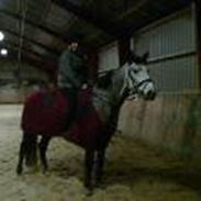 Anden særlig race Marie (Marie After Eight)