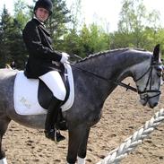 Anden særlig race Marie (Marie After Eight)