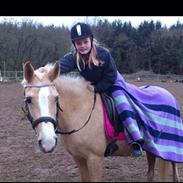 Anden særlig race Emir<3