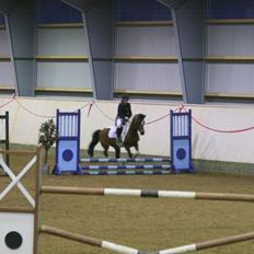 Anden særlig race Magic Rainbow