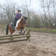 Anden særlig race Magic Rainbow