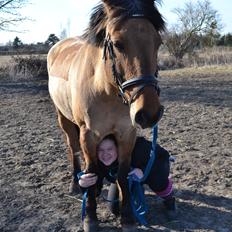 Anden særlig race lady<3