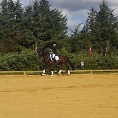 Anden særlig race Jolene Af Lindemose