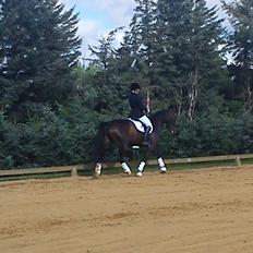 Anden særlig race Jolene Af Lindemose