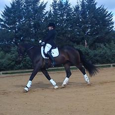 Anden særlig race Jolene Af Lindemose