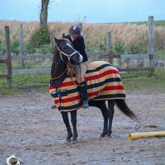 Quarter Frontiers Chico