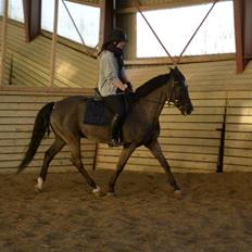 DSP >> Tovdal's Machon << |SOLGT|