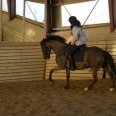 DSP >> Tovdal's Machon << |SOLGT|