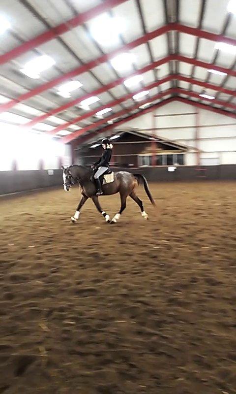 Anden særlig race Belive SOLGT ;'( billede 7