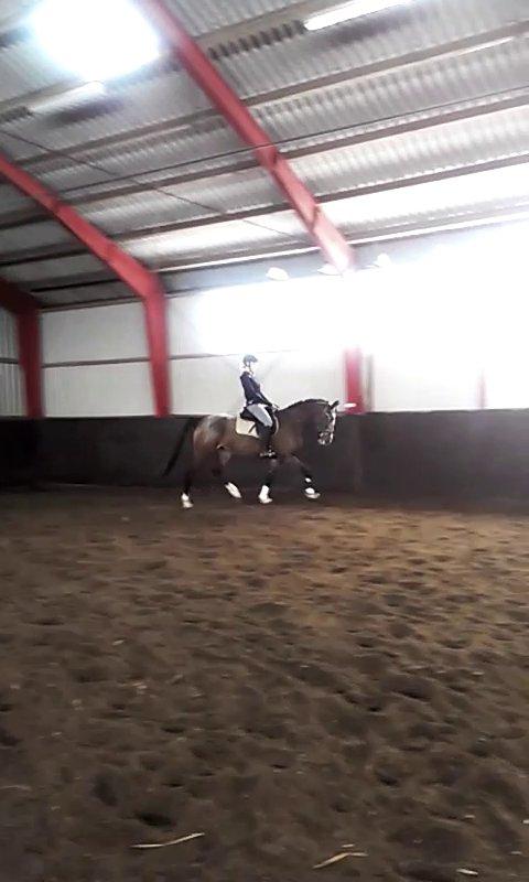 Anden særlig race Belive SOLGT ;'( billede 13