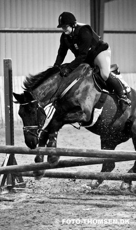 Anden særlig race Charmeur billede 19