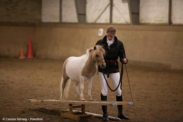 Miniature Castello´s Choice "R.I.P D 25/3-13" billede 6
