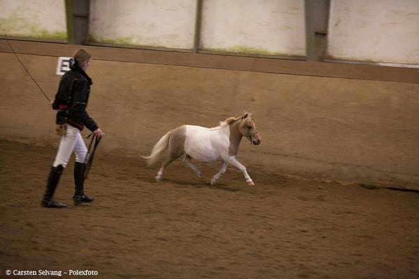 Miniature Castello´s Choice "R.I.P D 25/3-13" billede 7