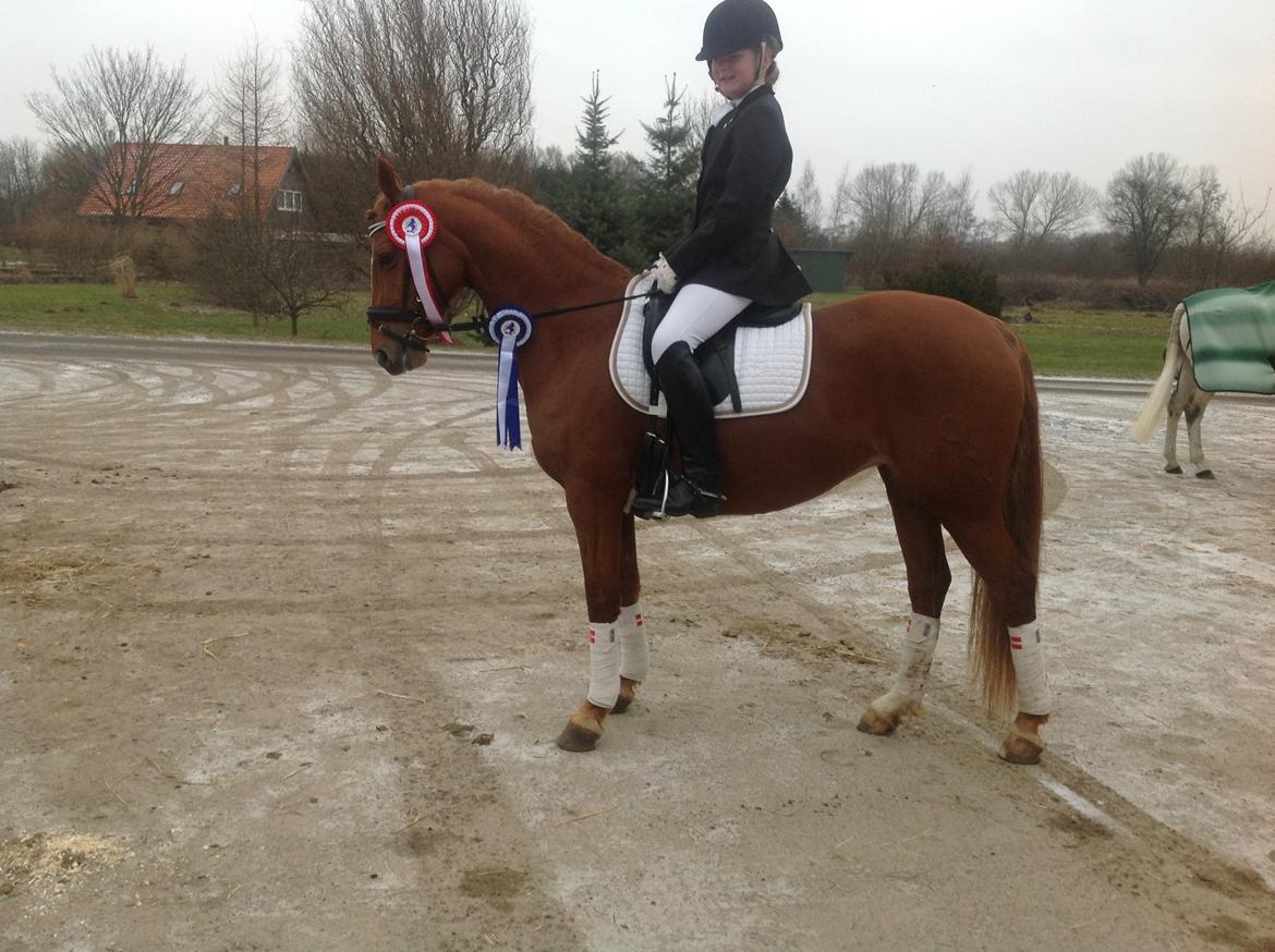 DSP Jalousi Af Stensnæs billede 6