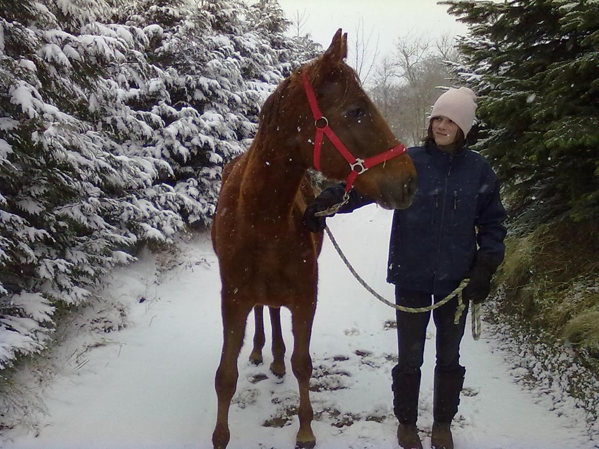 Anden særlig race Fame<33 den smukke billede 15