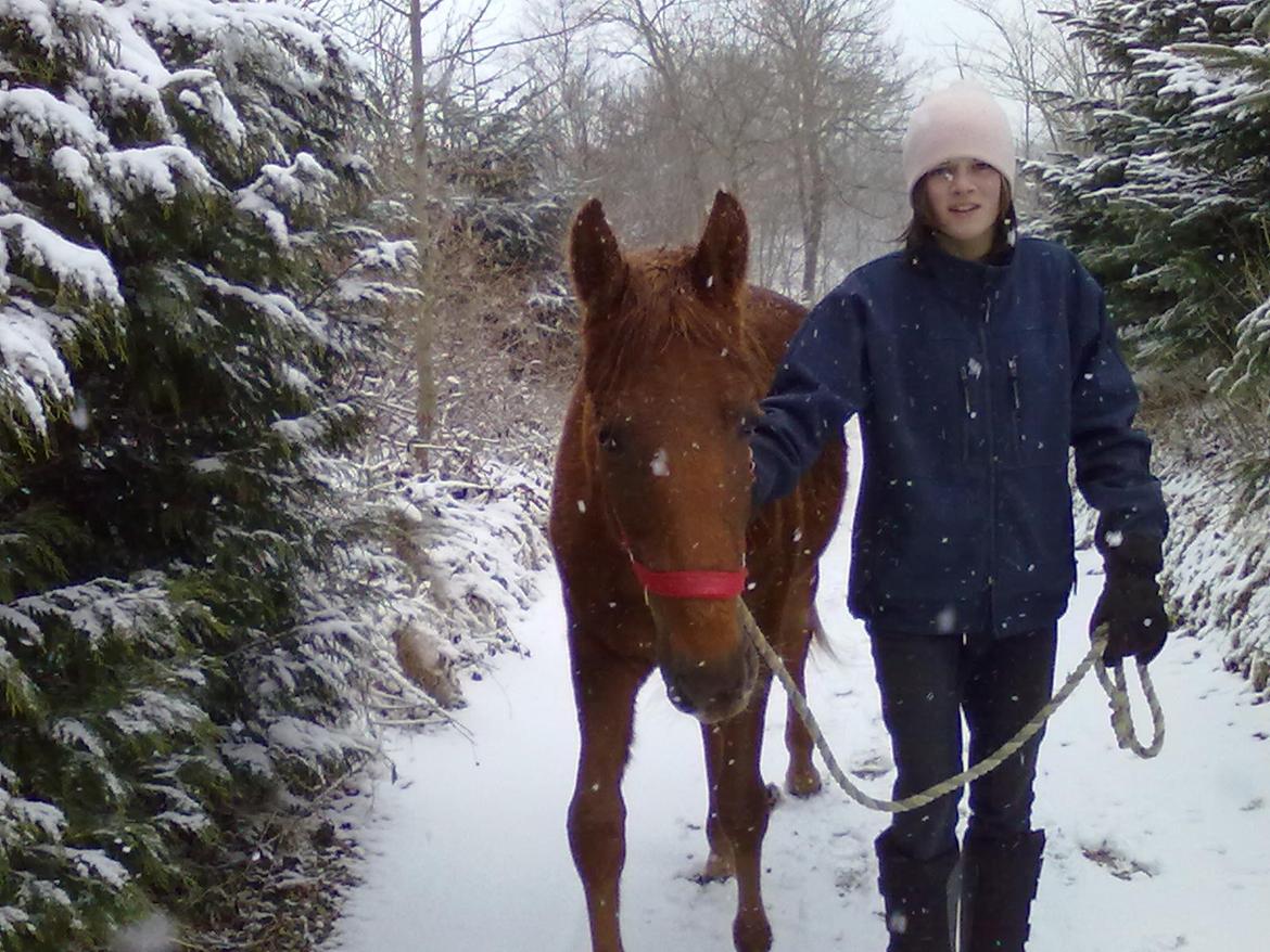 Anden særlig race Fame<33 den smukke billede 16