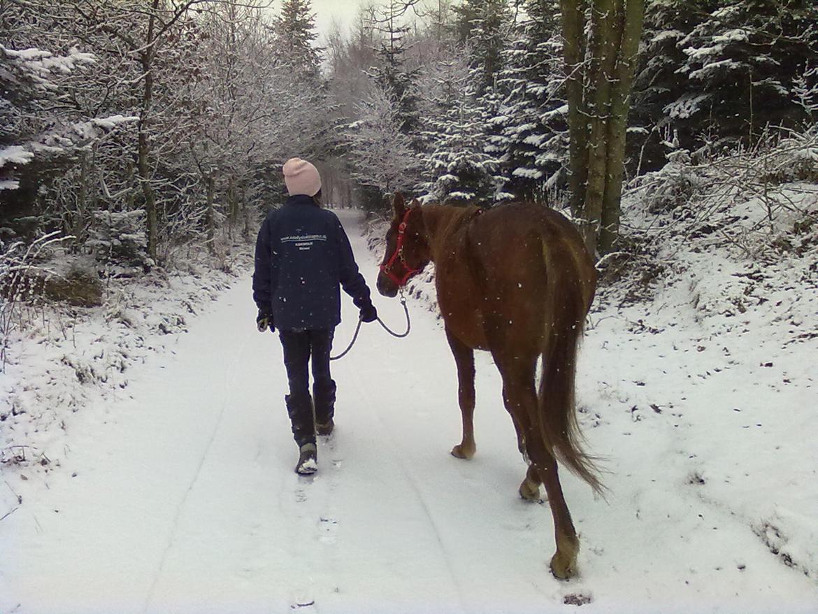Anden særlig race Fame<33 den smukke - det var så fames billeder tak fordi du kiggede med billede 19
