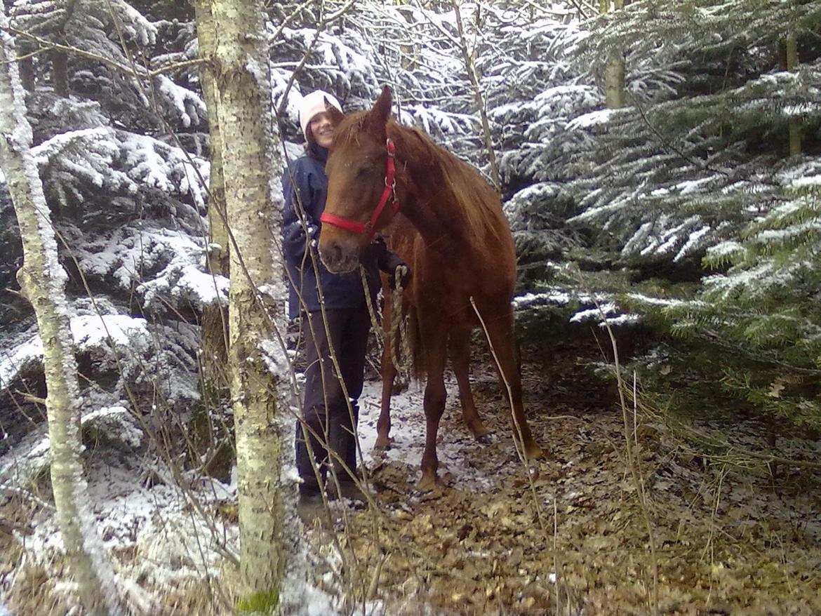Anden særlig race Fame<33 den smukke billede 18