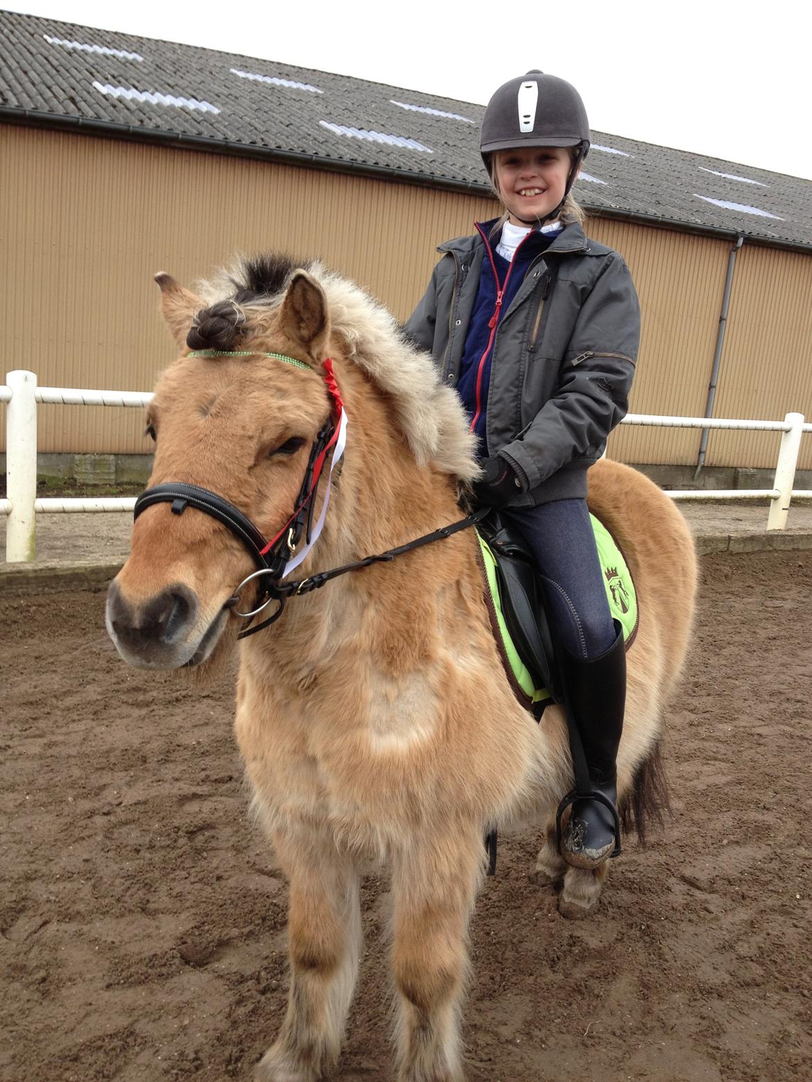 Anden særlig race Melvin - Første dressur-stævne på Vamdrup Rideklub 2013 :) billede 6