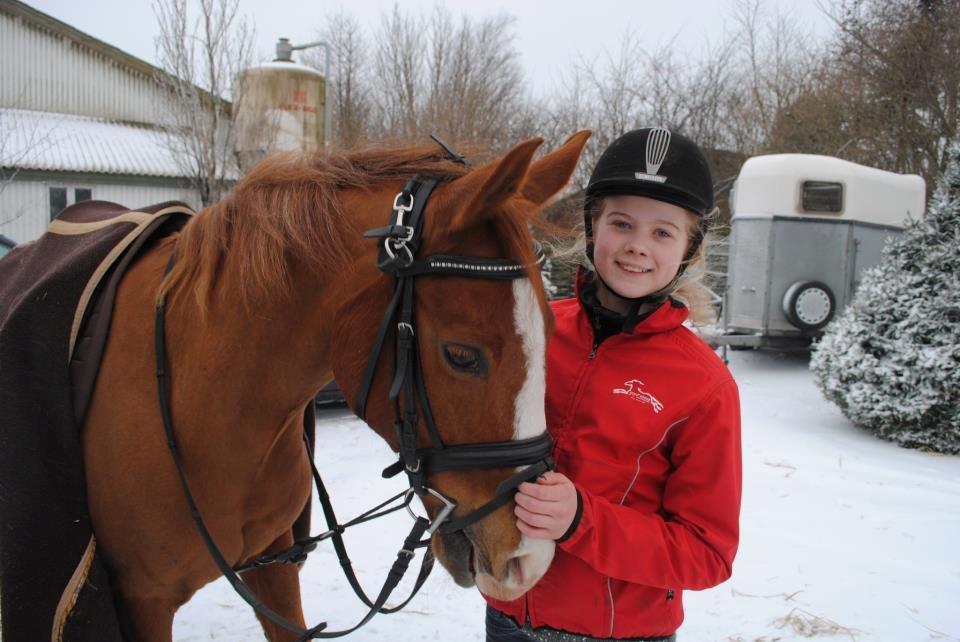 Hollandsk Sportspony Calypso billede 1