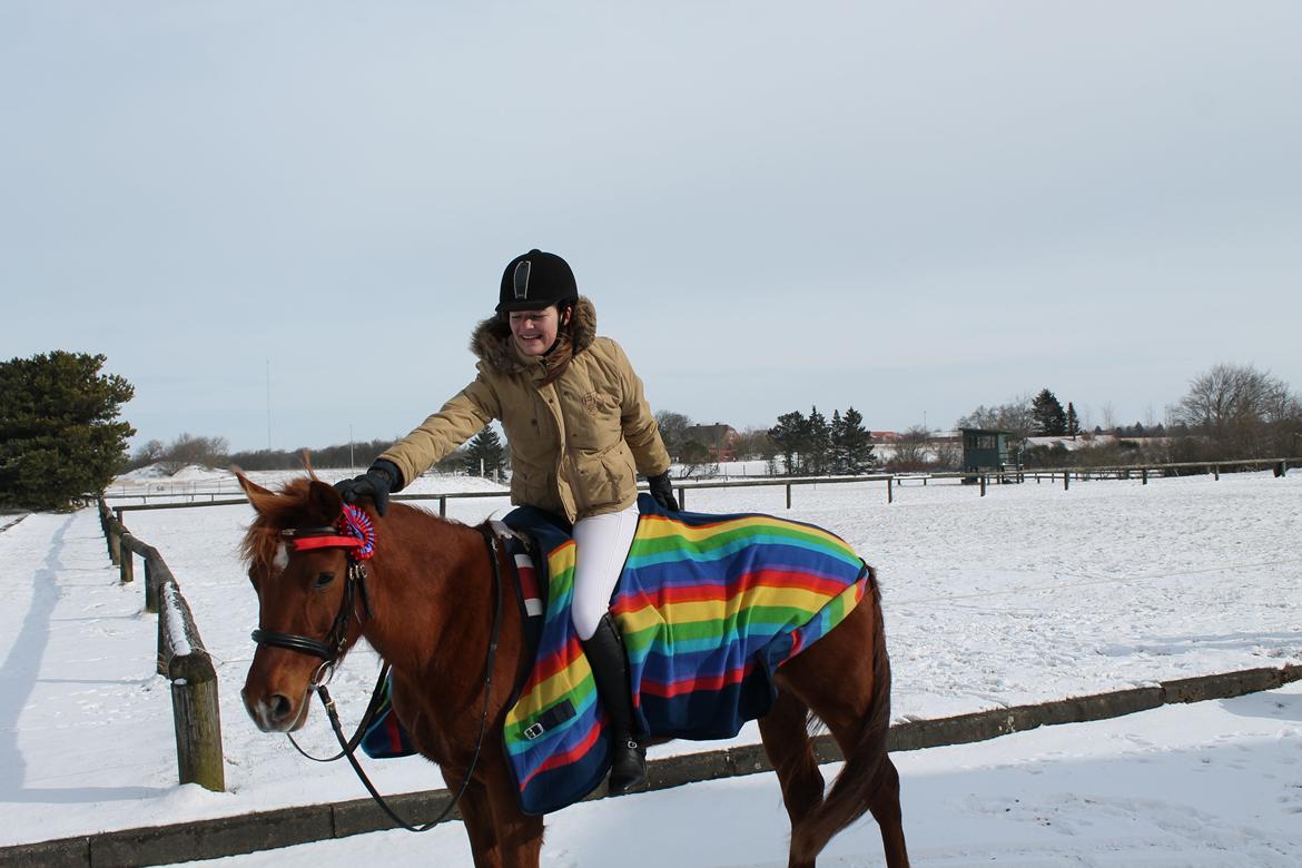 Anden særlig race Ponygården's Megara - Den dejlige pony med roset fra d. 17-3-2013 i en LE! <3 billede 17