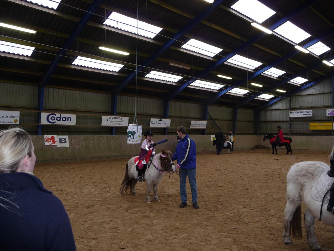 Anden særlig race Samba - kort efter sætter hun sig ned :) billede 16