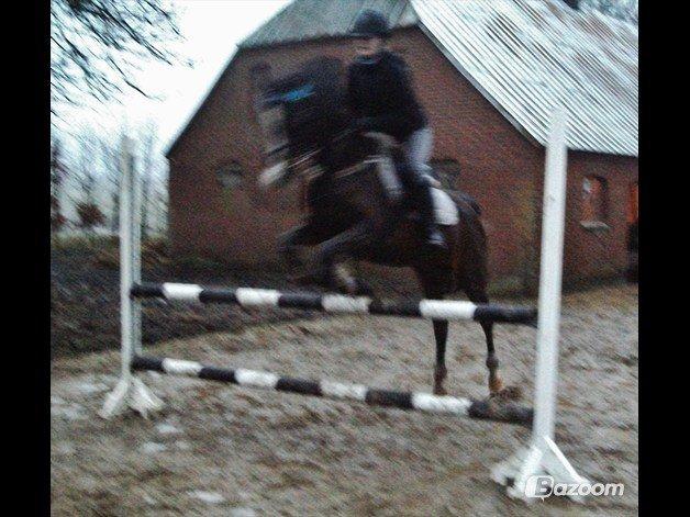 Arabisk fuldblod (OX) Deva - Rigtig dårlig kvalitet, men det eneste billede jeg har af Deva og jeg der springer LB højde. billede 19