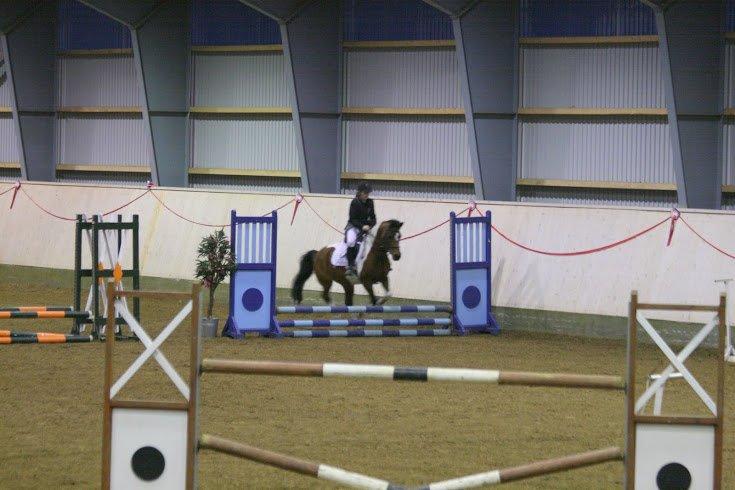 Anden særlig race Magic Rainbow billede 1