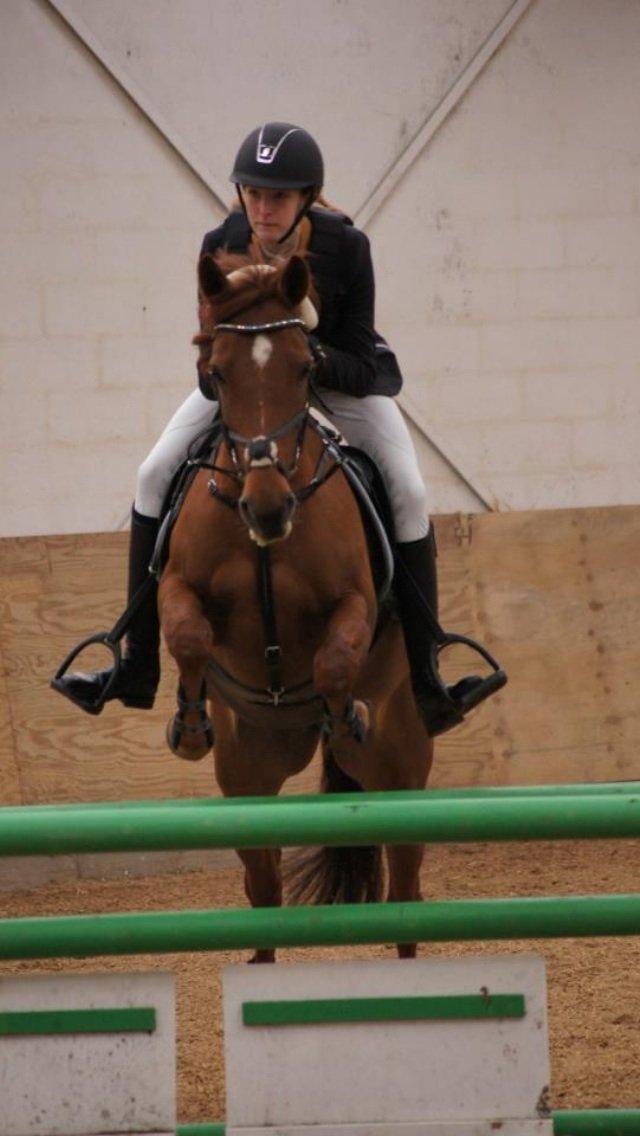 Anden særlig race Clements Penelope - Første stævne LB** billede 14