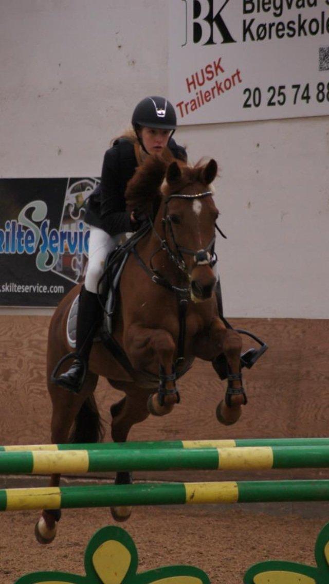 Anden særlig race Clements Penelope - I tiden 19.53 billede 16