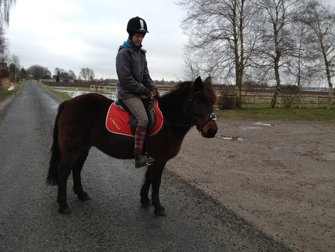 Anden særlig race charmer <3 billede 9