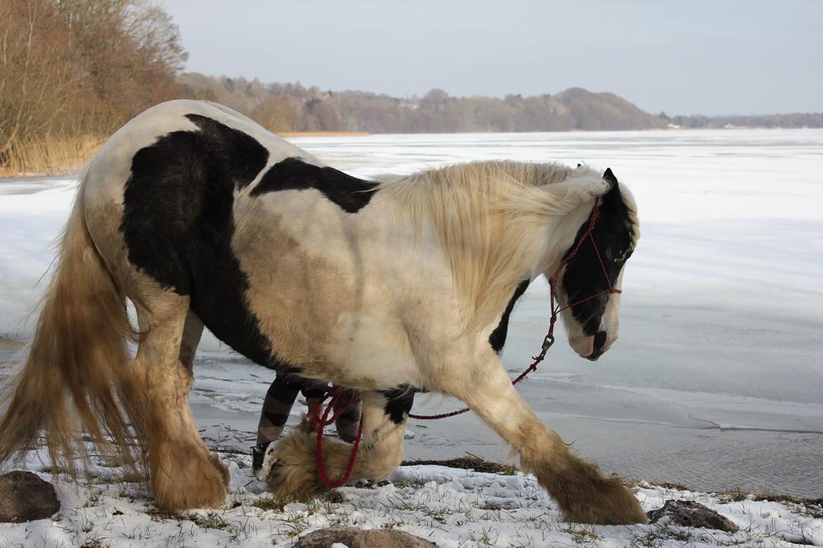 Tinker Maja - Så, så man lige os nede ved søen hvor majsen nejer <3 billede 15