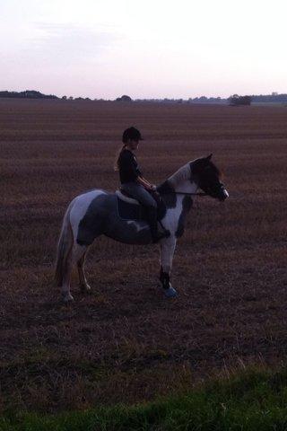 Anden særlig race Clements Stardust |*MY STAR*| - woooow billede 6