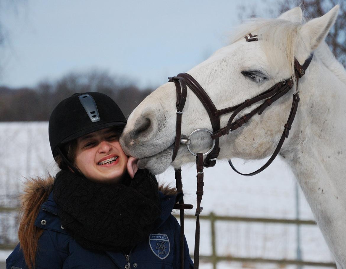 Irsk Sportspony Rahscanlon Lad  - White beauty - - "Friendship is when you have one soul in two bodies" billede 10