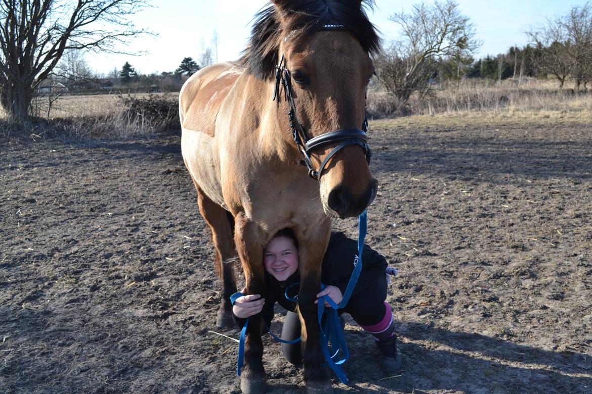 Anden særlig race lady<3 billede 3