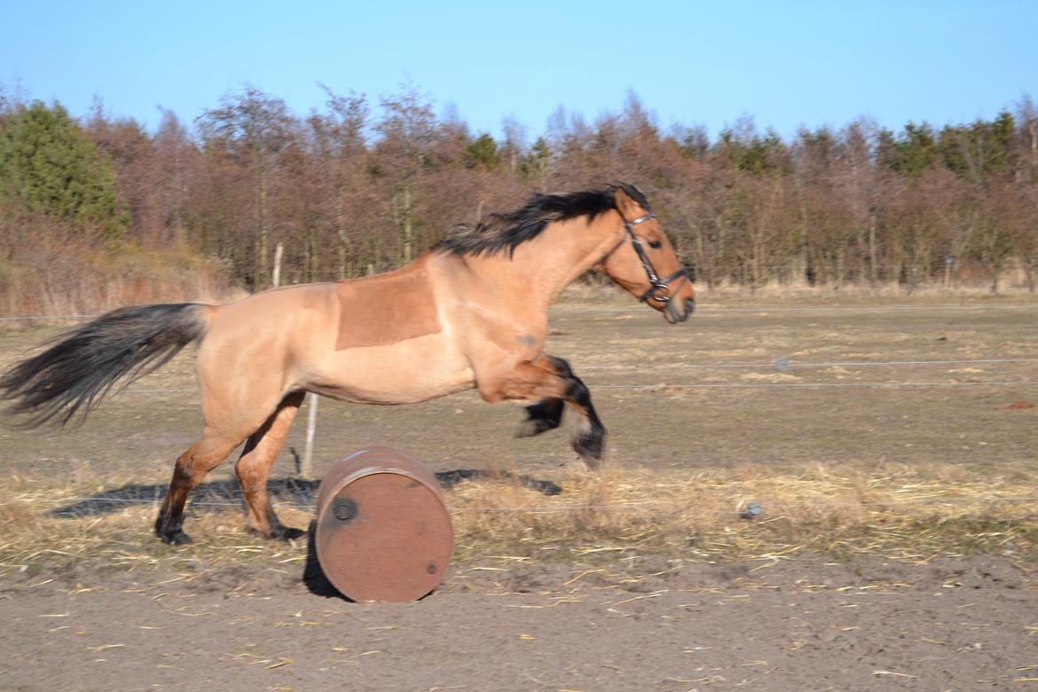 Anden særlig race lady<3 billede 16