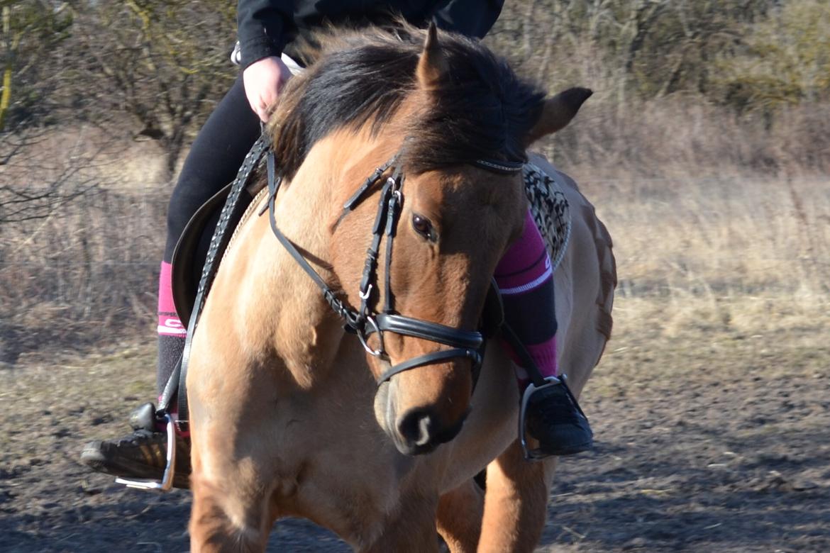 Anden særlig race lady<3 billede 5