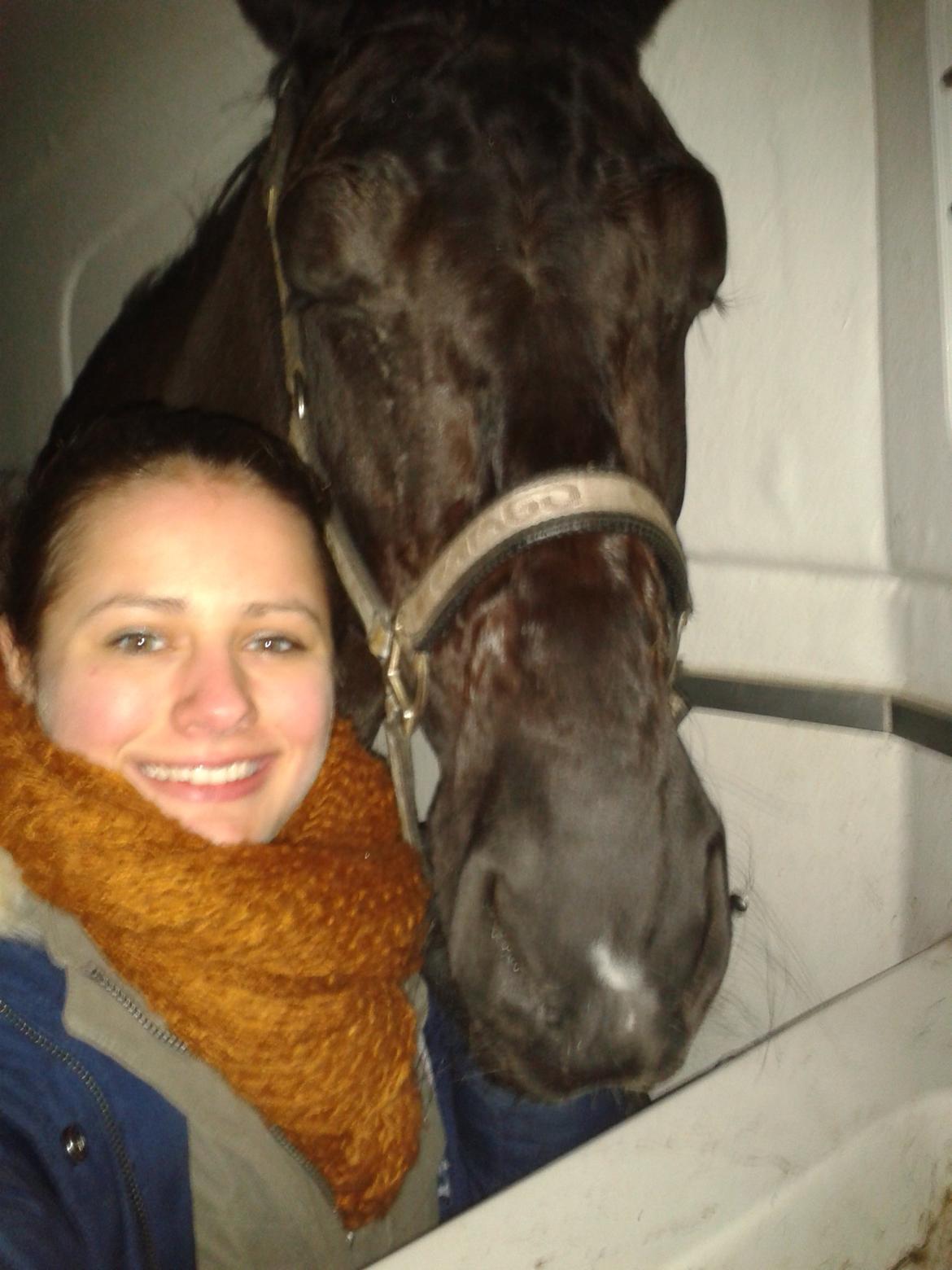 Oldenborg Evita af Hvarre billede 17