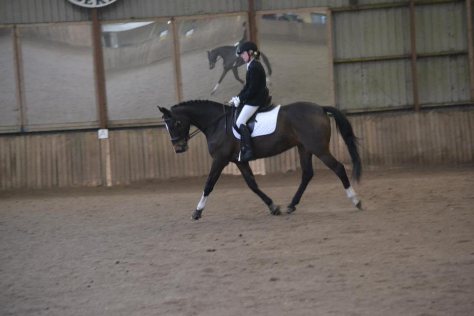 Holstener Lana billede 2