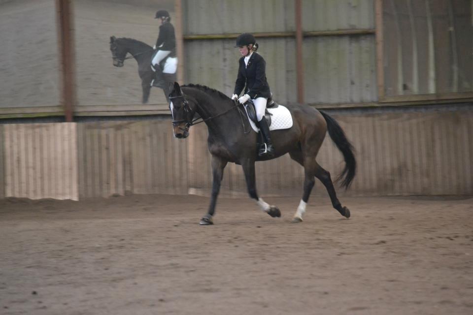 Holstener Lana billede 15