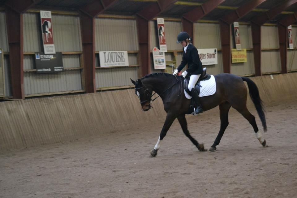 Holstener Lana billede 16