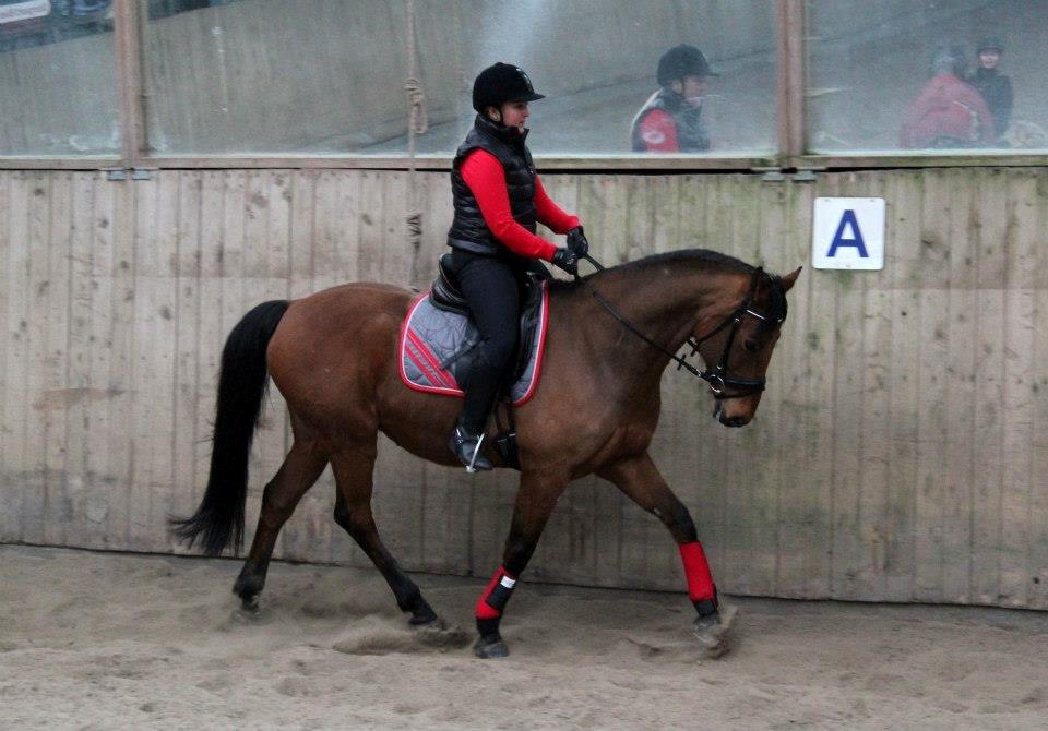 Holstener Flair - Han er ved at blive så fin d. 16-3 billede 5