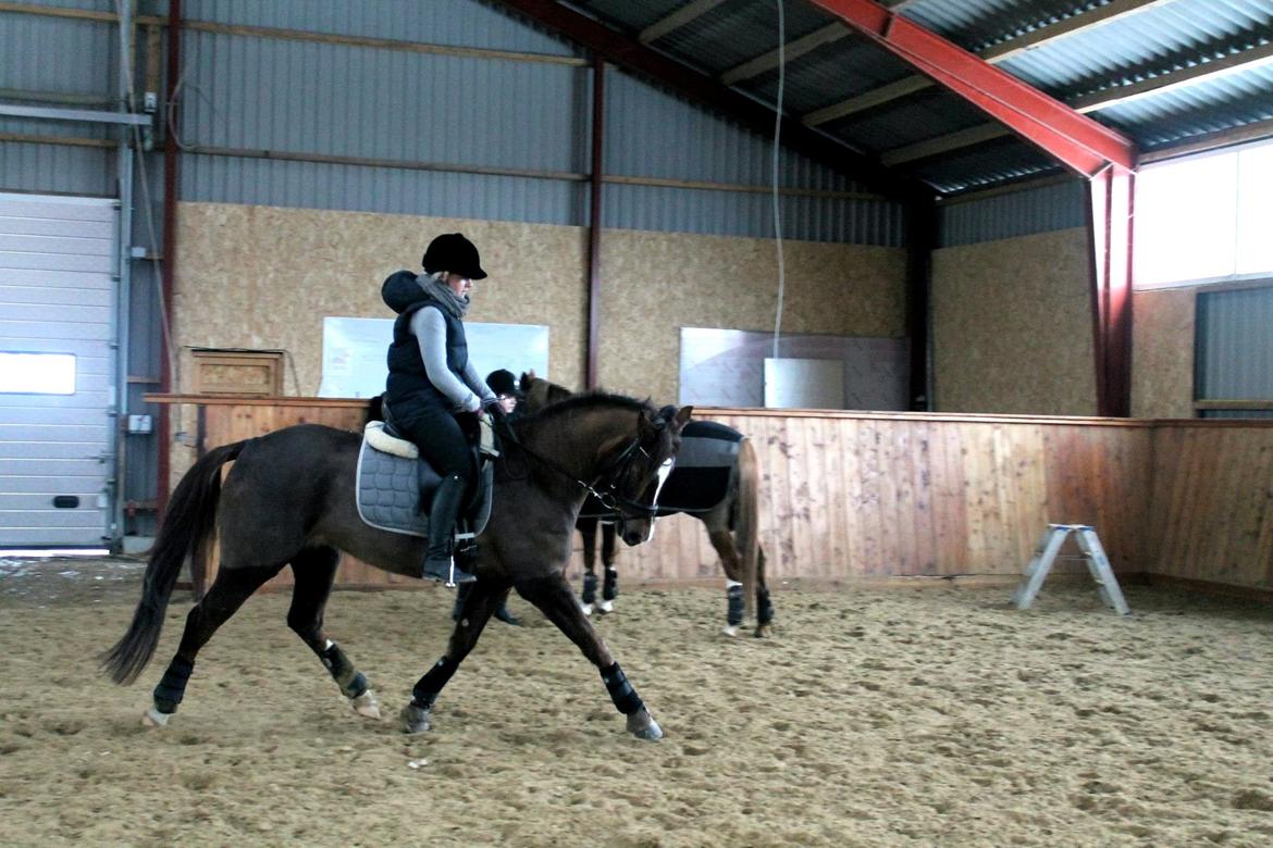 DSP Vasehøjs Kaia billede 17